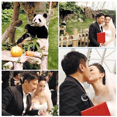 钱嘉乐汤盈盈结婚图片