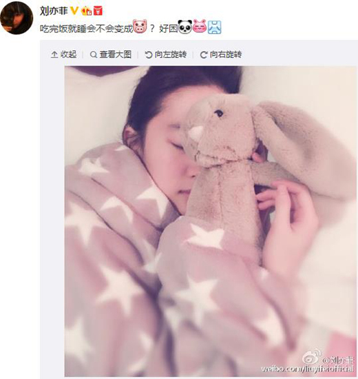 刘亦菲晒睡眠照抱兔子玩具皮肤红润白皙（图）