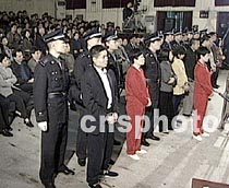 新闻组照:张君犯罪团伙被押解进入法院受审