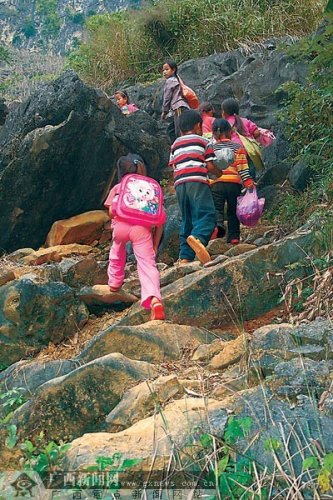 马蜂蛰死学生引关注 孩子翻越数公里山路上学