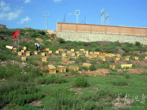 ������ʿ�ź�