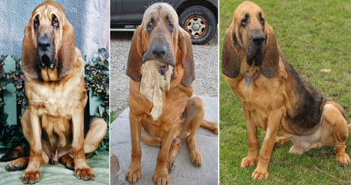 ��ֻ����Ȯ����֮ǰ��������ȷ�е㡰�衱��