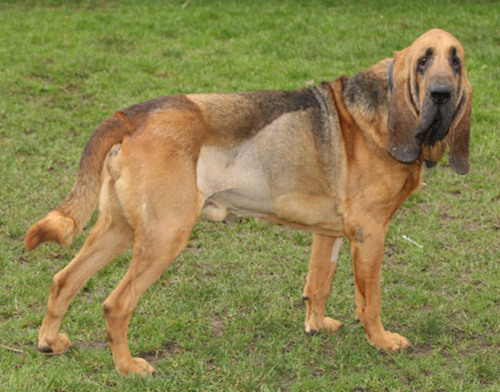 ����֮���ȷ�����г������ˡ�