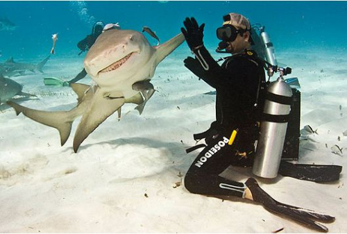 ���㰮���������������衰���ơ�