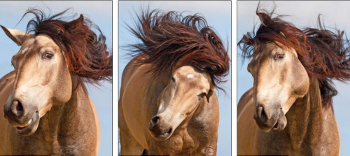 ����˦���ơ�΢Ц�� ��ͷ��ʮ��