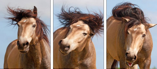 ����˦Ū�Լ������ĺ�ɫ���㷢��