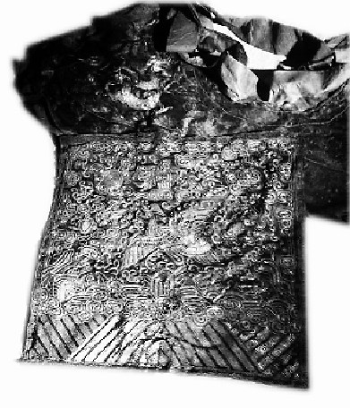 ��ĳ���˴ӹ�Ĺ�е����Ĳ��