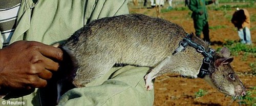 ��ֻ�Ա��Ǿ�����1999������һ��ͥ�����ĳ��