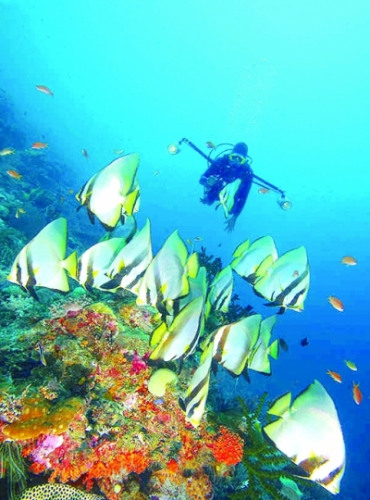 �»���/������