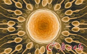 Ů�Գ������Ȼ�п����γ��µ����ӡ�������ͼƬ��