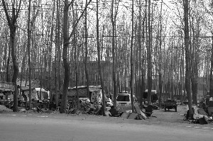 3��28�գ���������������ͥ���еġ��й����������������������