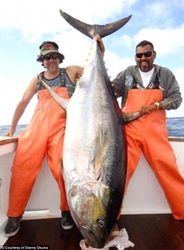 �ش�193����Ļ�����ǹ��