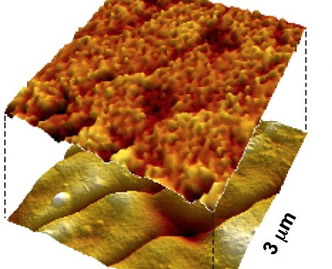 �������ǳ��ᱡ����ѧ������Ϊ��δ��ʹ�÷�Χ���ǳ��㷺