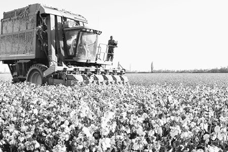 �������Ż�е�����޵õ��������ƹ��Ӧ�á�