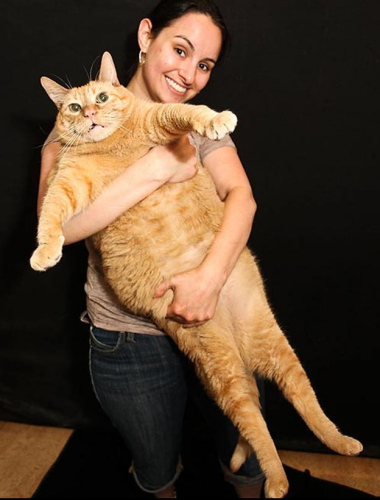 ��ֻ9���è���ش�15����������������ֵ�è