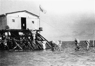 ���ռ翸���Ჹ��