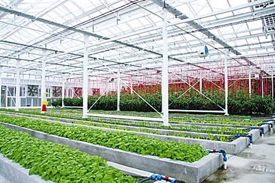 ������ɳ�ִ������ķ����˵�