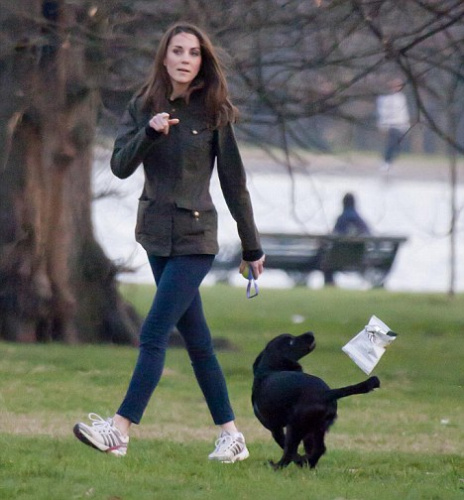 Ӣ�����������Ͱ�Ȯ��³����