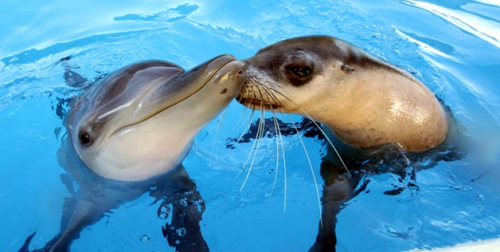 ���ࡰ���ء��뺣�������򡱳�Ϊ����