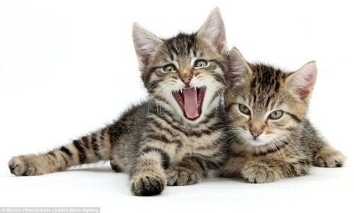 è�������ڰ���ô��