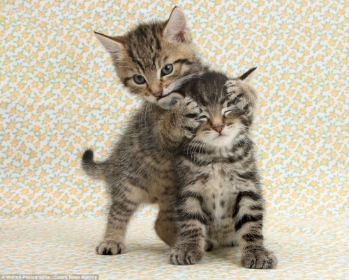 ���²�����˭��