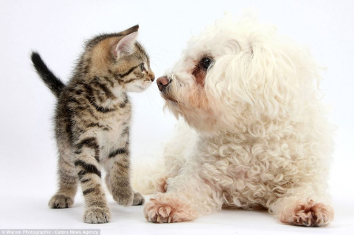 СèС��������ӣ����������ң��������㡱