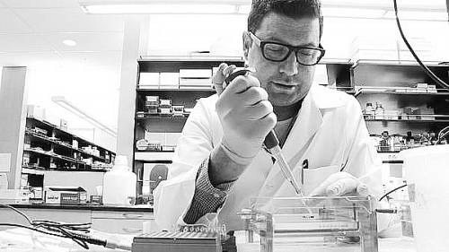 ¬��˹����ʵ��