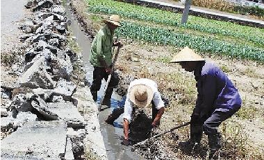 ���գ�������վ��ũ��������ũ��ˮ����ȷ����Ⱥ����������� �໳�� ��