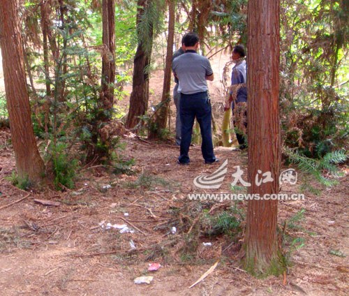 �ĳ�����ɽ������Ƹ��ӡ�