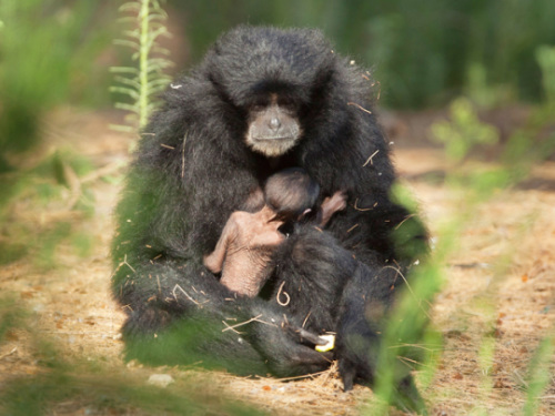 ĸ����Գ���Լ��ĺ���§�ڻ���ٱ��ǻ����������ܵ�����