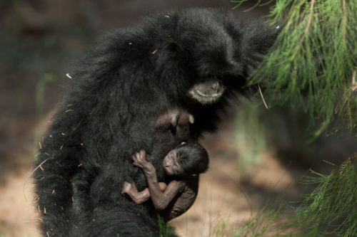 С����Գ����ĸ��˱������֭���ƺ�һ������Ը���뿪