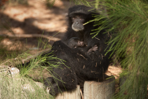 ĸ������ƽ����ȴ͸������ΰ��