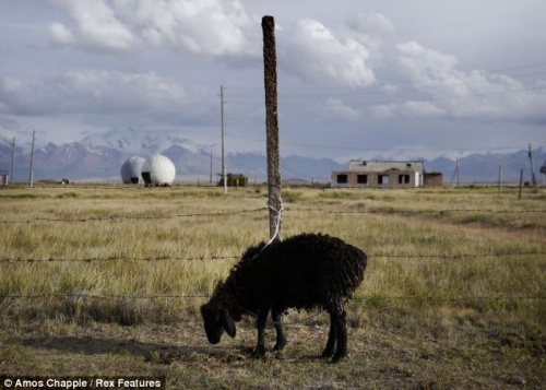 ����վ������ũ����