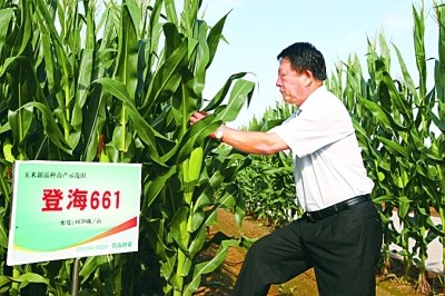 ��Ǻ���ʾ������鿴�����������������ͼƬ