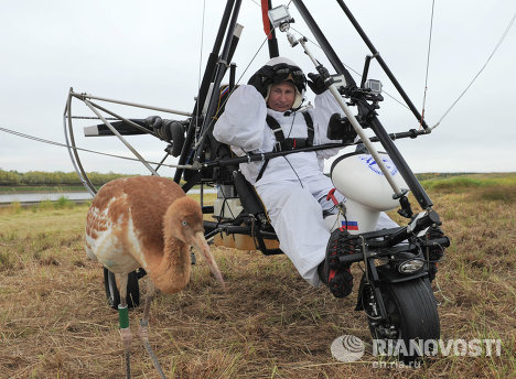 �վ���ʻ�������������Ⱥ̤��Ǩ��֮·��