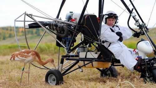 �վ����������ѧ���ڡ�ϣ�����С���Ŀ����ڽ��е�ʵ�顣