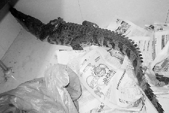 �������������־���