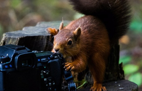 ̰�Ե�������żȻ��������󣬾�Ȼ����ҧ��ҧ���һ�ǡ�