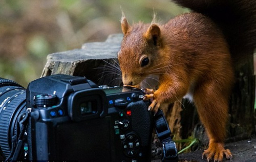 ���ף�����ʲô����С����������ʮ�ָ���Ȥ��