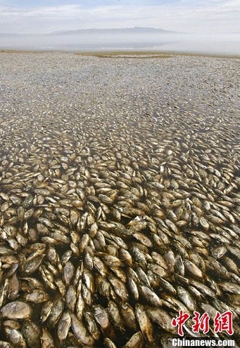 ���գ���������ɳ�ٺ����ִ������㣬������ɵġ���������ζ�̱�����