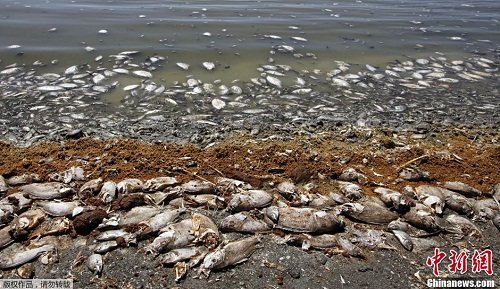 ����һ����Ա��ʾ����ζ��ȻƮ����240�๫���⣬��ʵ������