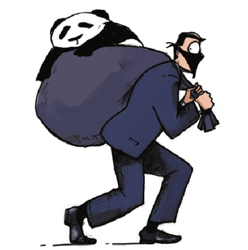 男子偷盗大熊猫标本出售 作案后紧张到眼底出血