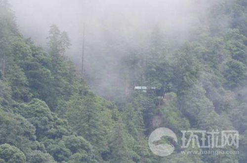 ��ӡ�߾���ӡ���鱨վ������ԭʼɭ���