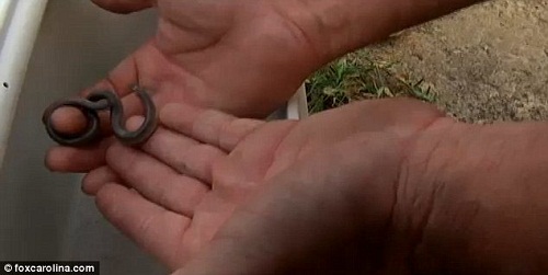 �����ﲿ�ż���������С�߲��޶��ԣ�Ҳ������������Σ��