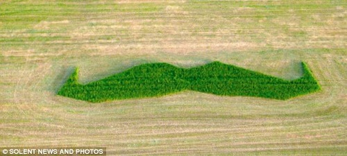 ����������С���ӡ���36.6�ף���12.2��