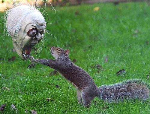 ��������װ�����������ʳ