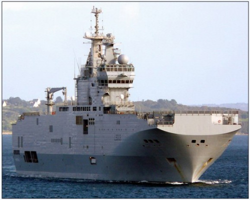 "������"��ֱ������ĸ