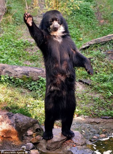 ����ʳ�������ӻ���������ò��������������Աע�⣬�·��ڲ���������Ա