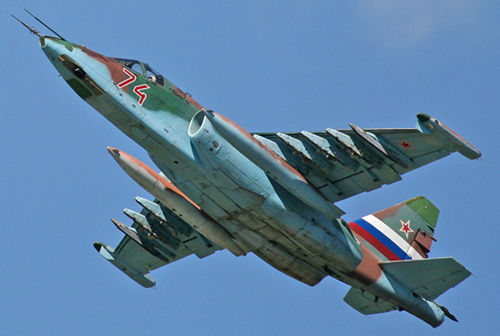 ������-25ս������