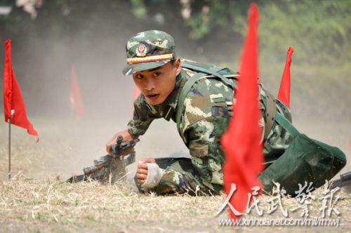 ս��ѵ����ͼƬ��Դ�������侯��